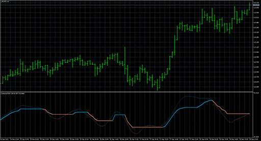 Corrected RSXの表示画像